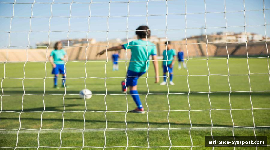 AYX·爱游戏「中国」官方网站_AYXSPORTS