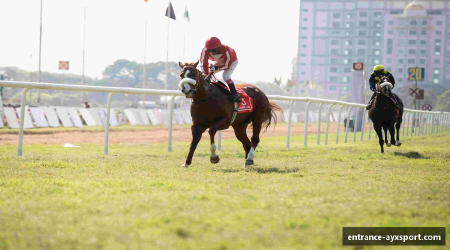 AYX·爱游戏「中国」官方网站_AYXSPORTS